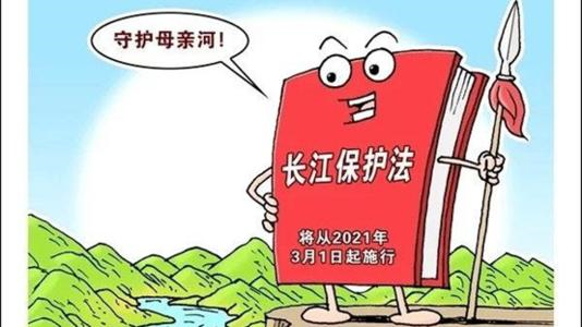 “共抓大保护不搞大开发”写入长江保护法
