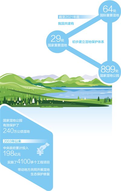 湿地保护法：法治守护湿地之美