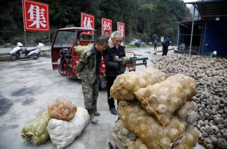 岚皋的魔芋平利的茶 感受安康品牌魅力