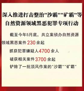 ·自然资源领域230余起黑恶案件被侦办