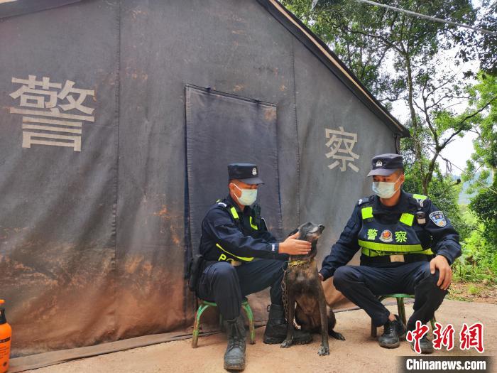 中老边境云南磨憨：神犬奇兵与民警并肩作战守护平安