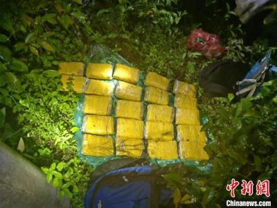 云南西双版纳：警犬协助民警查毒23公斤