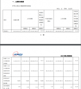 ·ST广珠多名前高管遭上交所处分