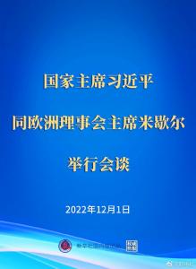 ·习近平同欧洲理事会主席米歇尔举行会谈