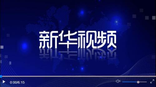 习近平同巴西总统卢拉举行会谈