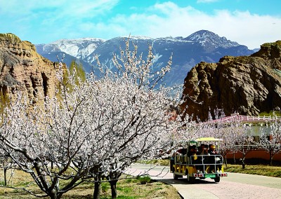 守护“人在旅途” 点亮“诗与远方”