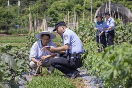 田间地头的护绿“警”色