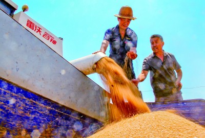 为粮食安全立法 守住管好“天下粮仓”——写在粮食安全保障法实施之际